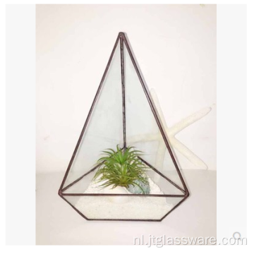 Vierkante glazen plantenbak in terrariumstijl